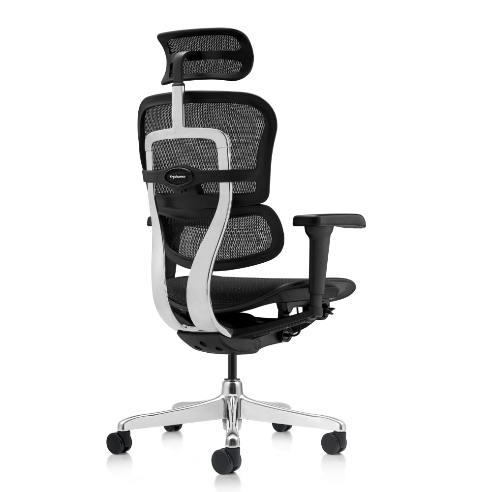 Evolution gris - Imagen 4