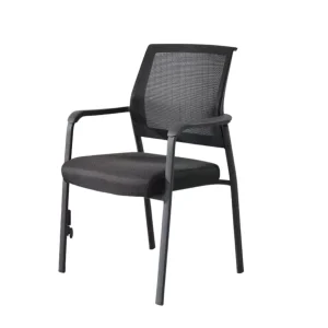 Silla de Visia-Eco con Brazo