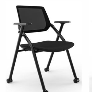 Silla Plegable C/ruedas